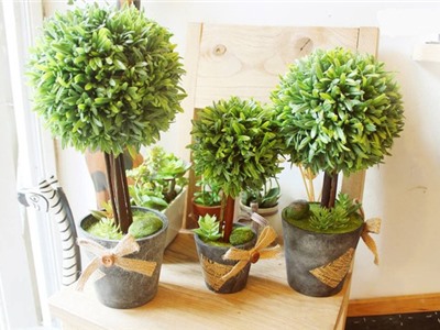 Góc làm việc thư thái hơn nhờ những chậu cây đẹp, dễ tìm mua